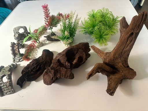 水槽セット(観賞魚飼育セット)