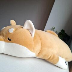 【最終日！北区7月20日まで】やわらか柴犬・ぬいぐるみの画像