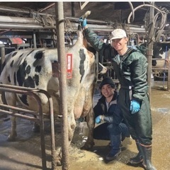 北海道の大自然を感じれる牧場で 一緒に働きませんか？  「哺乳スタッフ」募集！の画像