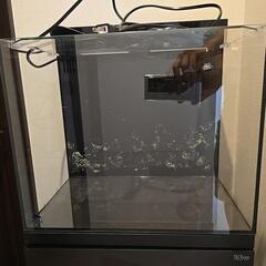 Shell2水槽 の画像