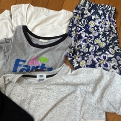 レディース半袖Tシャツ　まとめての画像