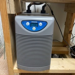 コトブキ30センチ、クーラーセットの画像