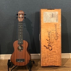 Epiphone ソプラノウクレレ 中古美品 元箱付き！の画像