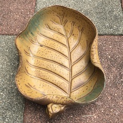 譲り先決まりました植木鉢？