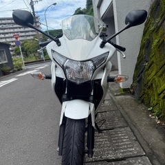 決まりました！沢山のご応募ありがとうございました！