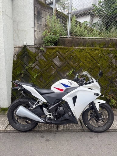 決まりました！沢山のご応募ありがとうございました！