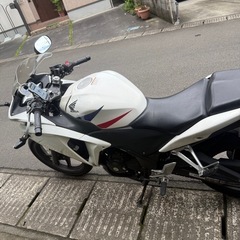 決まりました！沢山のご応募ありがとうございました！の画像