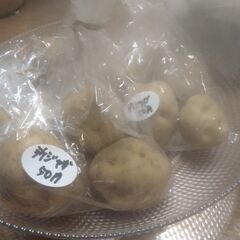 新鮮野菜コーナーじゃがいも、ナス、モロッコインゲンを追加品出しし...