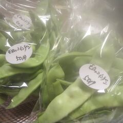 新鮮野菜コーナーじゃがいも、ナス、モロッコインゲンを追加品出ししました。の画像