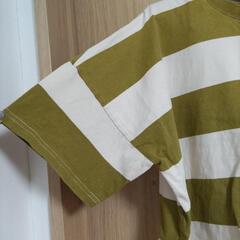 ｸﾗｼｶﾙｴﾙﾌ🟢JAVA🟢ボーダーTシャツ👕🟢グリーン🟢Мサイズの画像