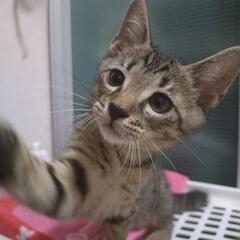 やんちゃで甘えん坊な男の子💙もんた君！