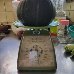 丸ズッキーニ940g