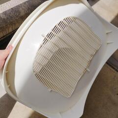 猫 システムトイレの画像