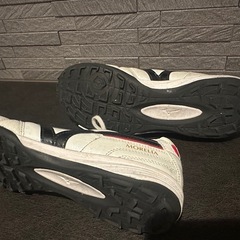 ミズノフットサルシューズモレリア26の画像