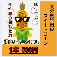 🌽✨本日限定‼️さいき城山桜ホール付近の夜市に便乗して“焼きスイ...