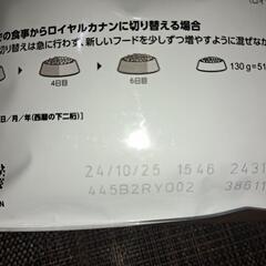 柴犬専用 ドッグフード ＆ "おまけ"のクレート付き♪ ロイヤルカナン BHN 柴犬 子犬用 10ヵ月齢まで 800g 新品未開封品 豆柴 小豆柴 極小豆柴の画像