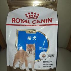 柴犬専用 ドッグフード ＆ "おまけ"付き♪ ロイヤルカナン B...