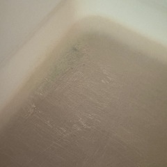 猫トイレお譲りします（2つあります）の画像