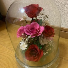 (1万相当)レンデフロールの画像