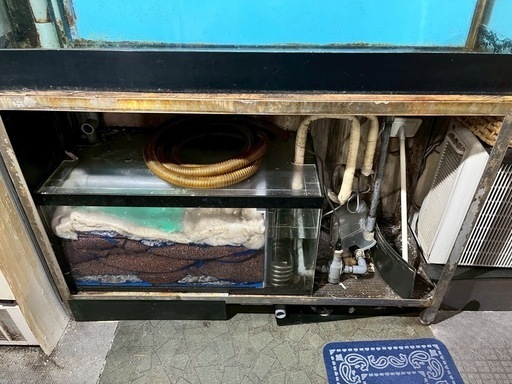 生簀