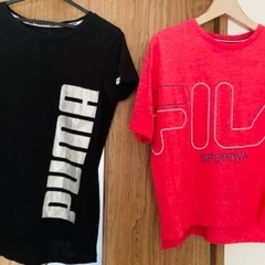 新品含む美品4点セットの画像
