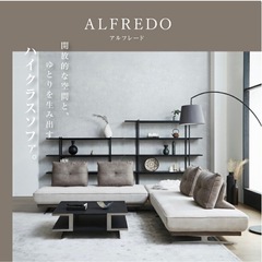 【使用期間4ヶ月】アルフレード ソファ グレージュ×グレーの画像