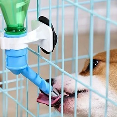 ペットボトルを使用するペットの水飲み器の画像