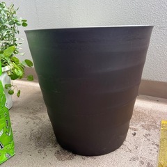 大型プランター/植木鉢の画像
