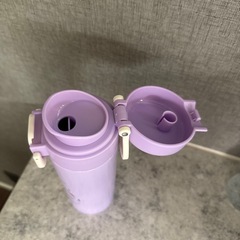 エルサ　水筒の画像