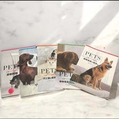 キャリカレ　ペット看護師　セラピニストの画像