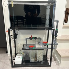 60cmオーバーフロー水槽 自作品　4面ブラック水槽　キャビネット　の画像