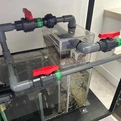 60cmオーバーフロー水槽 自作品　4面ブラック水槽　キャビネット　の画像