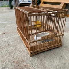 鳥籠　懐かしい　竹細工　風流の画像