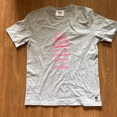EVERLAST LOVLESS Tシャツ グレー　美品の画像
