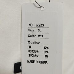 QZILLA  3L Tシャツの画像