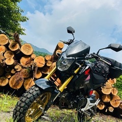 ミニバイクでの林道ツーリング仲間募集中‼︎