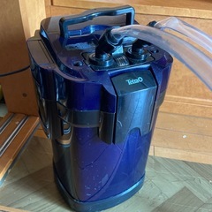 熱帯魚水槽爬虫類の画像