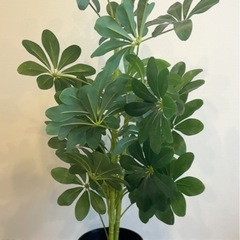 【受渡し確定】フェイクグリーン　100cmの画像