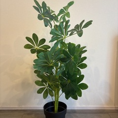 【受渡し確定】フェイクグリーン　100cmの画像