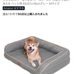 ペットベッド　14日まで