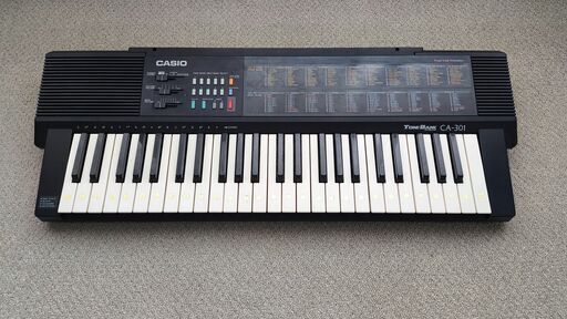 カシオ 電子ピアノ 電子キーボード (Leo) 名島の鍵盤楽器