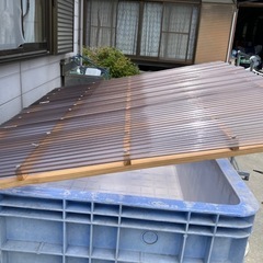 決まりました〜
水槽の画像
