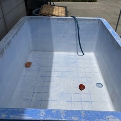 決まりました〜
水槽の画像