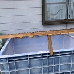 決まりました〜
水槽の画像