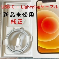 新品未使用　純正　iPhone USB-C - Lightnin...