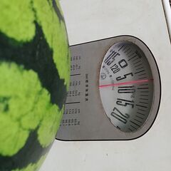 第２弾、朝採れ夏野菜と大玉スイカ、丸ごと販売１個分、重さ8キロ、大きさ23ＣＭをつけて甘い ですよ。夏野菜をつけて格安2000円で販売します。 の画像