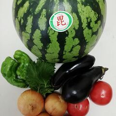 第２弾、朝採れ夏野菜と大玉スイカ、丸ごと販売１個分、重さ8キロ、大きさ23ＣＭをつけて甘い ですよ。夏野菜をつけて格安2000円で販売します。 の画像