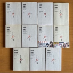 るろうに剣心 完全版 全巻セットの画像