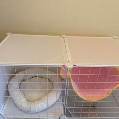 子猫用ゲージの画像