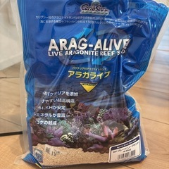 45cmの海水水槽一式セット💕の画像